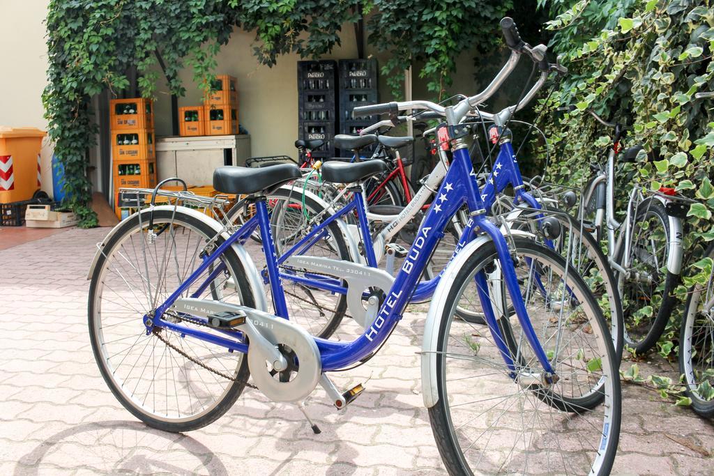 Hotel Buda Bellaria-Igea Marina Zewnętrze zdjęcie